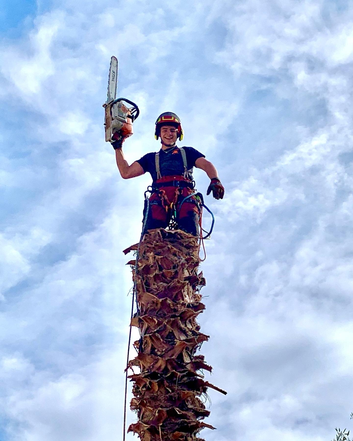 8d074141-44f7-4229-b8b5-c60d548ea594-YX4LzEz7DztDPnZK nos réalisations - Tolosa élagage