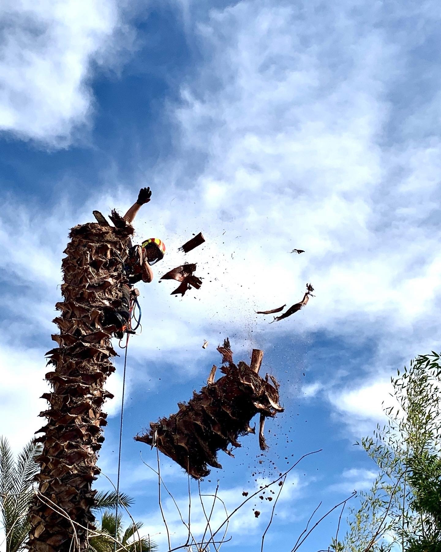 8d074141-44f7-4229-b8b5-c60d548ea594-YX4LzEz7DztDPnZK nos réalisations- Tolosa élagage