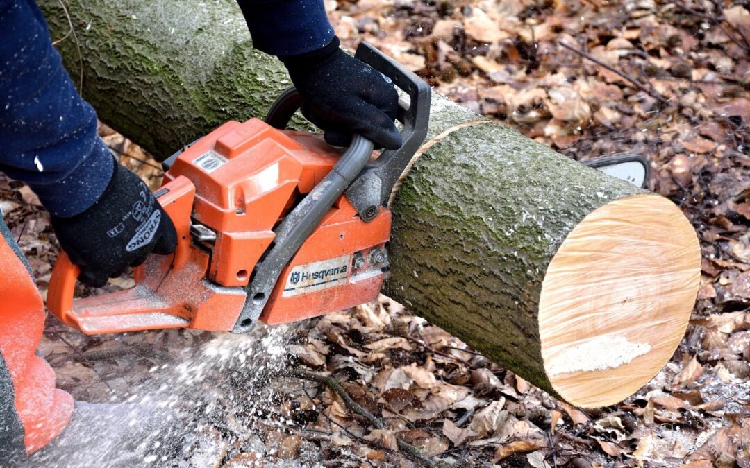 Abattage directionnel assisté