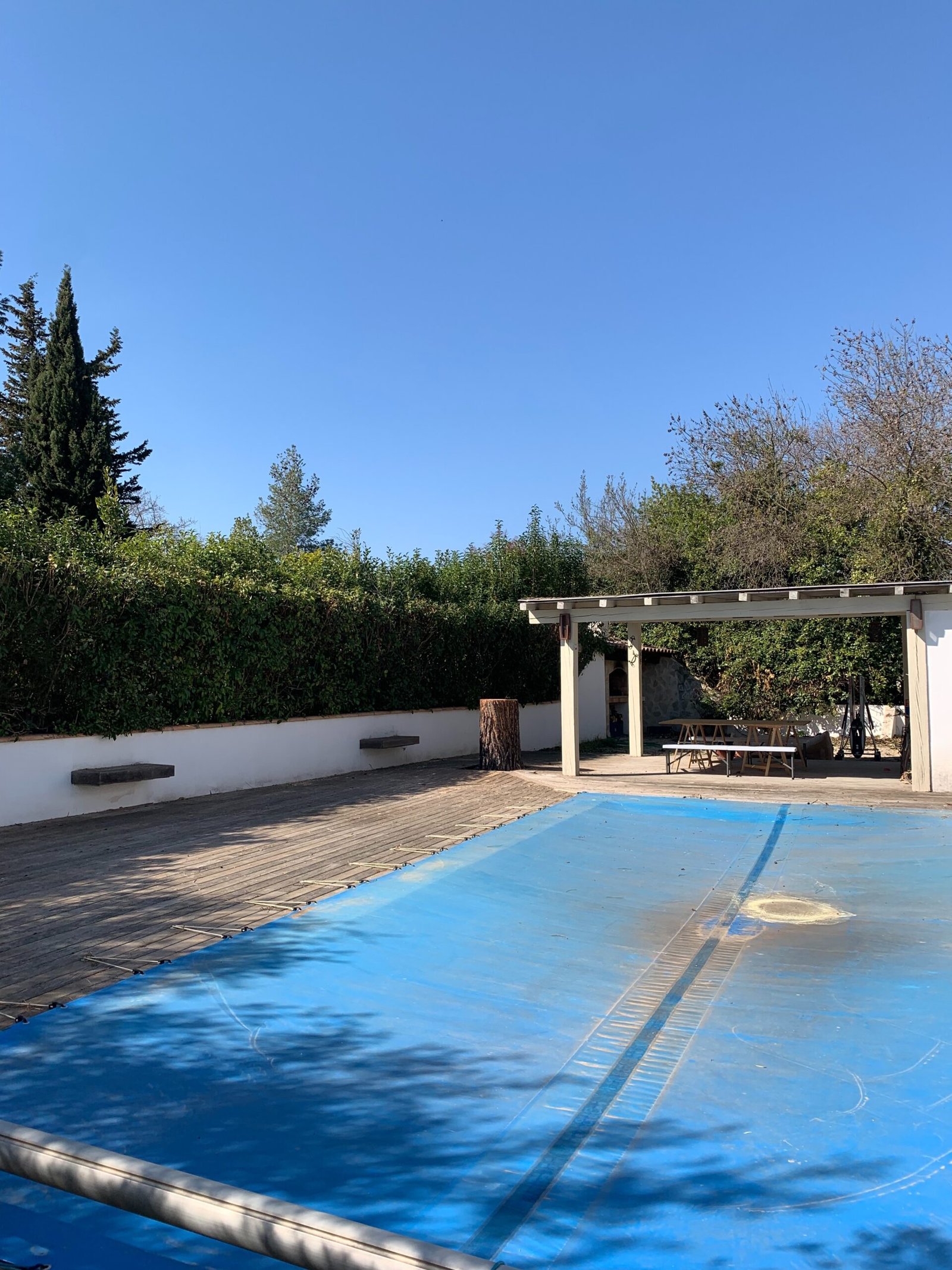 img-0872-mP45NlRnxDCXeDRo démontage arbre- tolosa élagage- nos réalisations