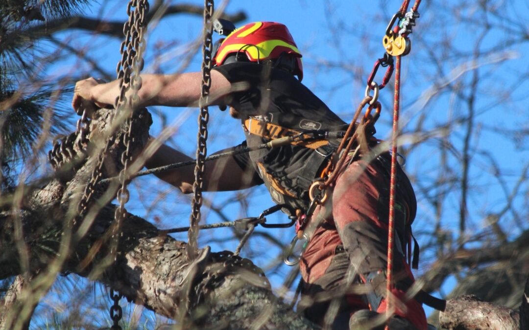 Démontage par rétention : la technique“chirurgicale” en zone sensible