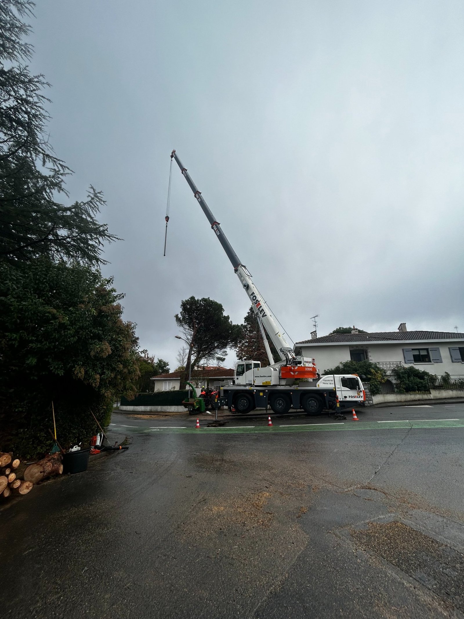 réalisations de Tolosa élagage à Toulouse