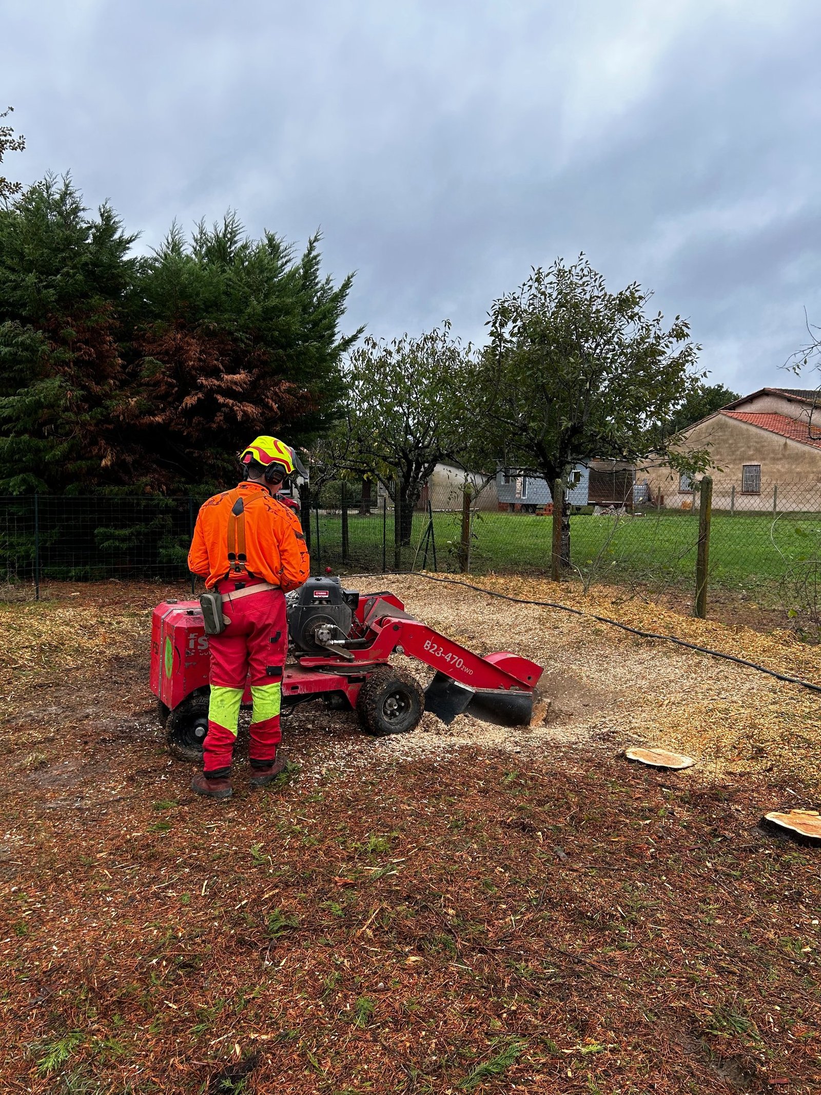 réalisations - Tolosa élagage