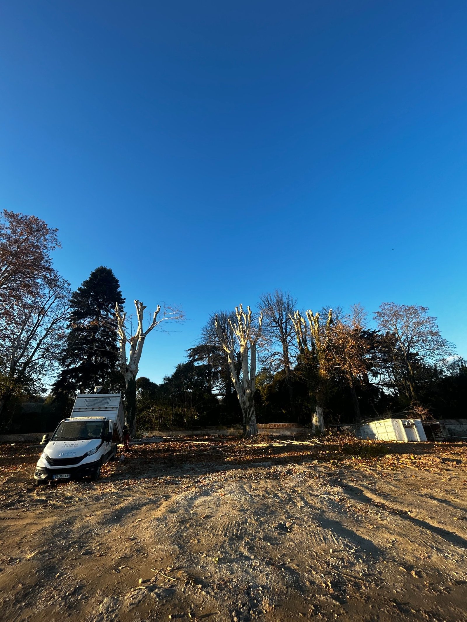 réalisations - Tolosa élagage