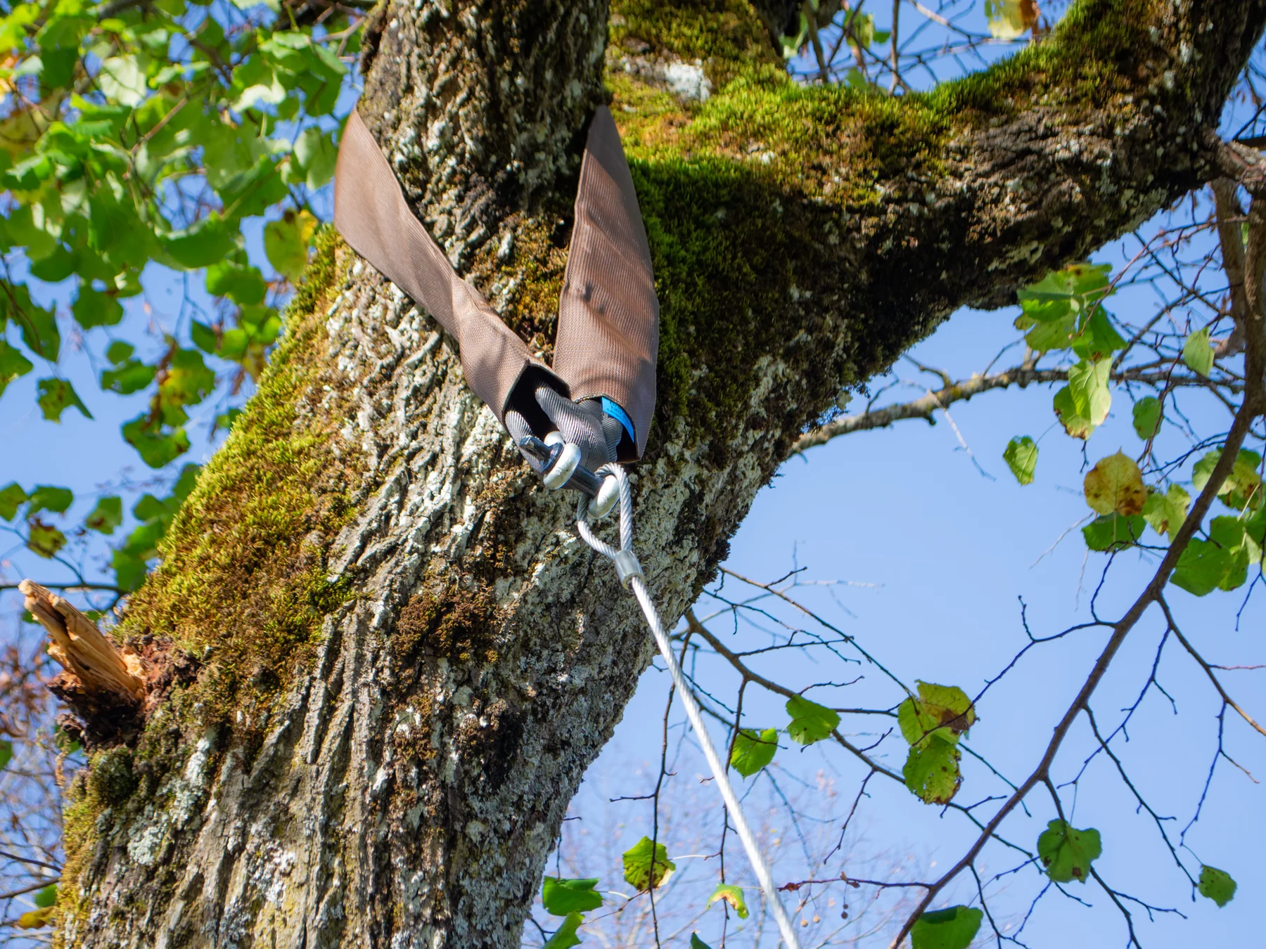 Haubanage à Toulouse - Tolosa Elagage