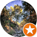 Guillaume Alay profile picture